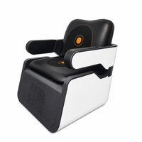 Chaise EMS à double aimant pour le renforcement des muscles du plancher pelvien et la thérapie lombaire profonde 2-en-1 non invasive