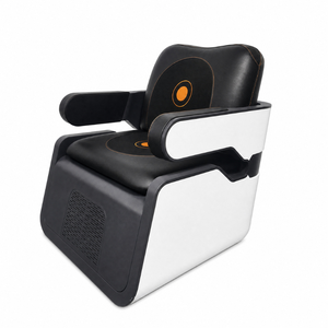 Chaise EMS à double aimant pour le renforcement des muscles du plancher pelvien et la thérapie lombaire profonde 2-en-1 non invasive - Product Image 6