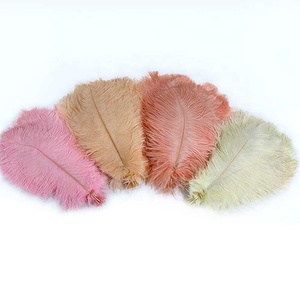 Chất lượng cao 25-30cm trắng đà điểu lông mịn Fluffy lớn nhuộm lông cho đám cưới Bán buôn giá rẻ - Product Image 4