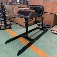 Équipement de fitness professionnel pour salle de sport : Machine de développement des gluteus et des ischio-jambiers (Hamstring Raise)