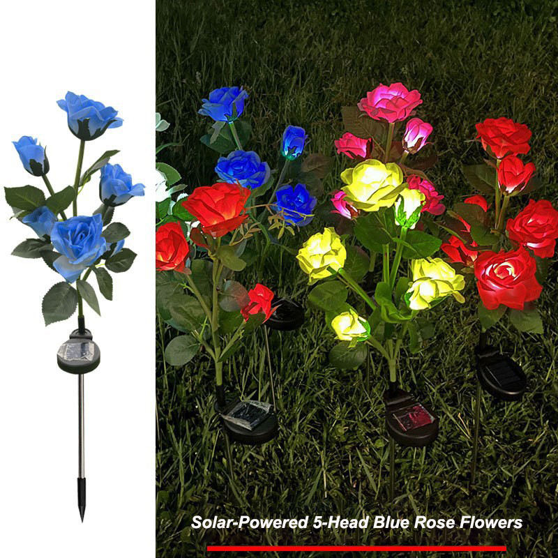 Rose bleue à cinq têtes