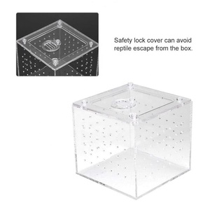 Scatola di allevamento di rettili in <span class=keywords><strong>Plexiglass</strong></span> personalizzata <span class=keywords><strong>con</strong></span> coperchio magnetico - Product Image 4