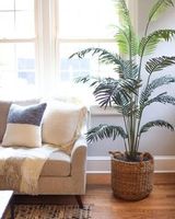 Fabricant résistant AUX UV palmier artificiel/plantes artificielles d'intérieur ou extérieur à vendre