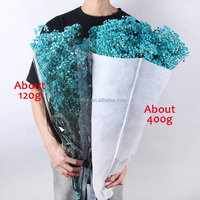 Flores Secas Naturales al por Mayor de Fábrica, Ramo de Gypsophila Preservada, para Bodas, Día de la Madre, Navidad, 400g