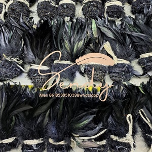 Plumes de Coq Noires de 6-8 pouces en Gros pour la Confection de Mouches de Pêche, Décorations de Costumes de Carnaval <span class=keywords><strong>et</strong></span> de Festival Samba - Product Image 6