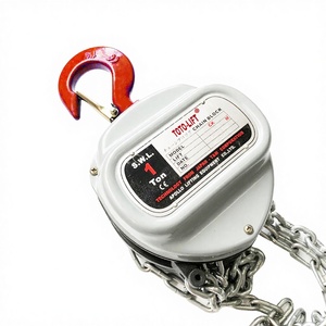 1 Ton 1000kg Chain Pulley Block 3m 10ft G80 Alloy Steel Dual Pawl Brake CE Certified <strong>Manual</strong> <strong>Hoist</strong> for Industrial Production Line - Product Image 4