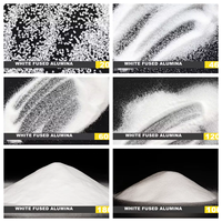 Fabricant fiable proposant des granulométries personnalisées et une qualité stable de sable d'alumine blanche fusionnée pour applications dentaires