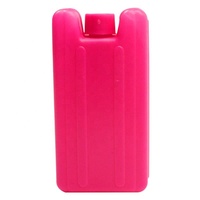 Mini brique de glace en gel portable sûre non toxique Pack de glace réutilisable rigide Refroidisseur de briques de glace réutilisable