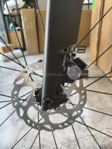 Vélo de route TT 700C en carbone, roues WheelTop TX, 24 vitesses, transmission sans fil SHI MANO, jantes 3K, freins à disque hydrauliques T3 (TT) / WheelTop TX- - Product Image 5