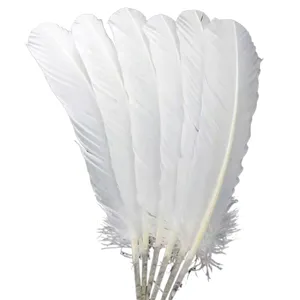 White Turkey Feathers HP-16 Dyed Arrow Feathers Turkey White Plumage Eagle Natural Turkey Feathers For Sale