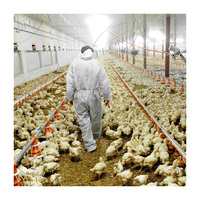 Bâtiment d'élevage de poulets de chair à prix abordable en Chine