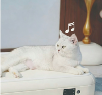 Tapis pour animaux de compagnie en laine intelligente avec lumières LED, lecteur de musique, contrôle de la température, coussin doux amovible et lavable pour chats