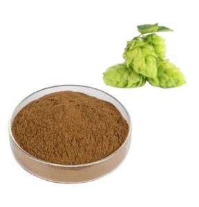 ホップエキス粉末無料サンプルホップエキス粉末 - Product Image 3