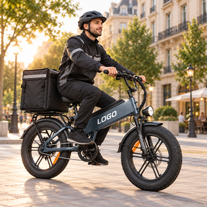 Bicicleta Eléctrica Utilitaria D40 al por Mayor, 750W, 48V40AH, 80N·m de Torque, Carga de 200kg, Fabricante OEM - Product Image 1
