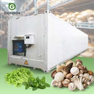 Système de culture verticale de champignons en boîte de culture agricole, serre multi-voûtes, salle de culture en conteneur, équipement de culture motorisé - Product Image 1