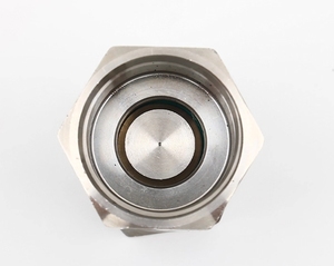 Vanne de retenue femelle 1/4 NPT - Product Image 2