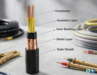 Cable Multifilar Flexible de Cobre 450/750V Kvv Kvvr Kvvp Kvvp22 Kvvrp con Aislamiento XLPE y Revestimiento de PVC IP44 -55~200