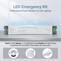 Kit de conversion d'urgence à courant constant certifié CE RoHS de qualité supérieure pour tube LED, avec driver haute efficacité