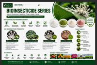 Bacillus Firmus Probiotique pour l'alimentation du bétail et de la volaille, additif alimentaire, Bacillus Firmus de qualité alimentaire pour préparation microbienne animale