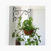 Support mural pour pot de fleurs en fer forgé, 1 pièce, support mural pour jardinière, crochet pour balcon et décoration intérieure