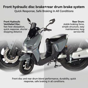 <span class=keywords><strong>Scooter</strong></span> électrique PACIFIC OEM/ODM 650W/1000W/1500W avec moteur sans balais, longue autonomie, frein à disque étanche, suspension intégrale, haute vitesse - Product Image 6