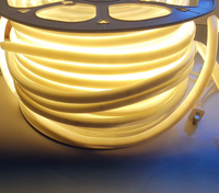 Guirlandes lumineuses flexibles en PVC IP65 220V 120 LED SMD2835 180 blanc chaud pour décoration extérieure et intérieure
