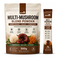 Poudre de boisson apaisante Reishi, mélange de latte aux champignons pour la nuit, sans mélatonine, formule de relaxation cacao vanille, marque privée OEM personnalisée
