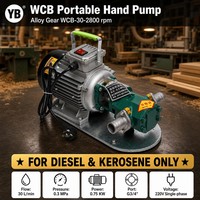 WCB 30 Gusseisen-Zahnradölpumpe 30 LPM 0,3 MPa 0,75 KW Legierungsstahl-Zahnrad-Dieseltransferpumpe 2800 U/min Mit Motor