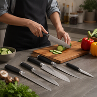 Ensemble de 7 couteaux de cuisine, manche intégral en acier inoxydable 3Cr13, poignée TPR, qualité professionnelle, vente en gros pour restaurants