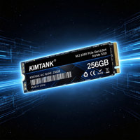 SSD Grosir 256gb 512gb 1tb M.2 NVMe dengan Antarmuka PCIe, SSD Internal untuk Desktop/Laptop