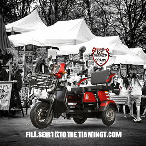 2025 vente chaude 48V Scooter électrique adulte conception de corps ouvert avec des tricycles électriques de riz coloré à vendre - Product Image 2