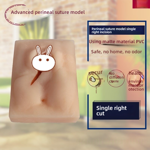 Mô hình thực hành khâu đáy chậu cho mô-đun đào tạo khoa học y tế Phụ khoa & sản khoa về kỹ năng sửa chữa âm hộ - Product Image 3