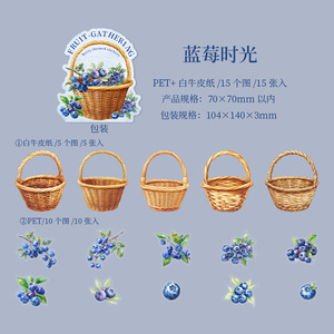 15 feuilles/paquet double matériel autocollant Pack Collection <span class=keywords><strong>de</strong></span> cueillette <span class=keywords><strong>de</strong></span> fruits sur le thème des baies décorations <span class=keywords><strong>de</strong></span> bricolage - Product Image 6