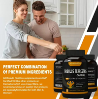 WELLBODY Tribulus Terrestris Capsules de Haute Qualité Homme Femme Test Boost Max pour Adultes