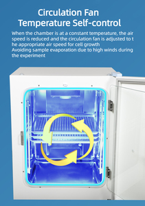 Bluepard 40L 80L 155L 190L 240L 500L Màn hình LCD lớn CO2 lồng ấp cho nuôi cấy tế bào - Product Image 3