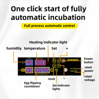 Incubateur d'Œufs Entièrement Automatique 48, 56, 96, 112 Œufs pour Poulet, Caille, Canard