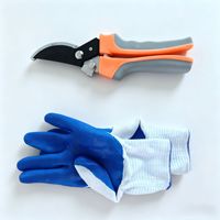 Sécateur robuste pour arbres fruitiers, ciseaux de jardinage pour fleurs, outil de coupe de branches avec poignée antidérapante, ensemble de gants, fabriqué en Chine