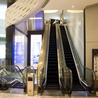 Prix d'usine extérieur 30 degrés commercial mobile marche passager escalator