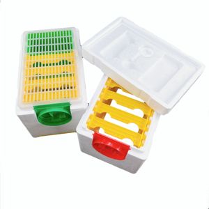 Apidea Mating Nuc <strong>Bee</strong> <strong>Hives</strong> <strong>for</strong> <strong>Sale</strong> Mini Foam Polystyrene <strong>Bee</strong> Box Beekeeping Starter Kit Esp Mating Honey Box - Product Image 4