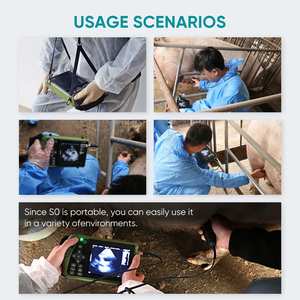 Dawei Kleine Dierlijke Veterinaire Monitoring Apparaat Varkenszwangerschap Echografie <span class=keywords><strong>Machine</strong></span> - Product Image 3