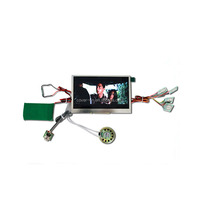 Module d'affichage LCD personnalisé de 5 pouces, 7 pouces, 10 pouces pour brochure vidéo de luxe sur le thème d'Halloween (Marque/OEM)