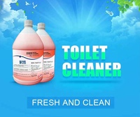 Nettoyant liquide pour toilettes, éliminateur de taches de ciment et d'urine