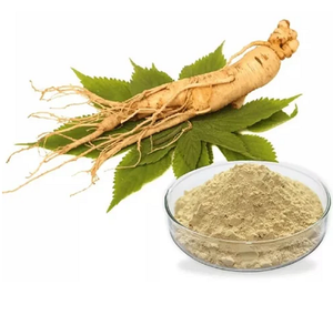 Poudre d'extrait sec de Panax Ginseng, poudre de racine botanique à base de plantes, ingrédient naturel de plante de ginseng pour les produits de compléments alimentaires - Product Image 2