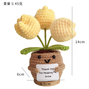 Regalos de agradecimiento para profesores, muñeco de ganchillo, orquídea con tarjeta, Gracias por ayudarme a crecer, Decoración de cumpleaños para el hogar y la Oficina - Product Image 6