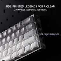 XVX Keycaps Crystal Jelly R2 Upgrade Side-Printed MDA Profile Gaming (78/122-Key) PBT Mechanical Keyboard Custom English