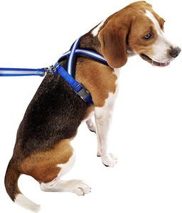 Premium Custom Nylon Slip on <b>Foam</b> <b>Padded</b> Dog Harness Set Tactical Dog Collar Leash Quick Release Metal Buckle With Handle - Product Image 3