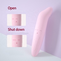 Leistungsstarker Mini-Delfin-Vibrator für Frauen mit 10 Frequenzen, wasserdicht nach IPX3, Bullet- und G-Punkt-Stimulator