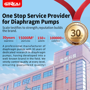 1/2 pollici semplice manutenzione pompa a diaframma in lega di alluminio pneumatica per vernice colla inchiostro consegna sabbie fluidi di trasferimento - Product Image 4