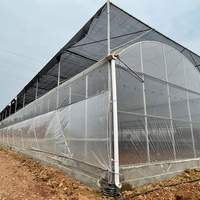 Serre en film multi-chapelles pour fraises, système hydroponique, projet clé en main