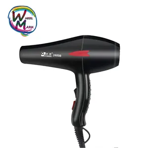 Hair Dryer Beautiful Appearance Hair Salon Equipment Hair Dryer China Manufacturer